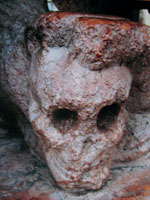 "Skull" Reggio Emilia, Italy